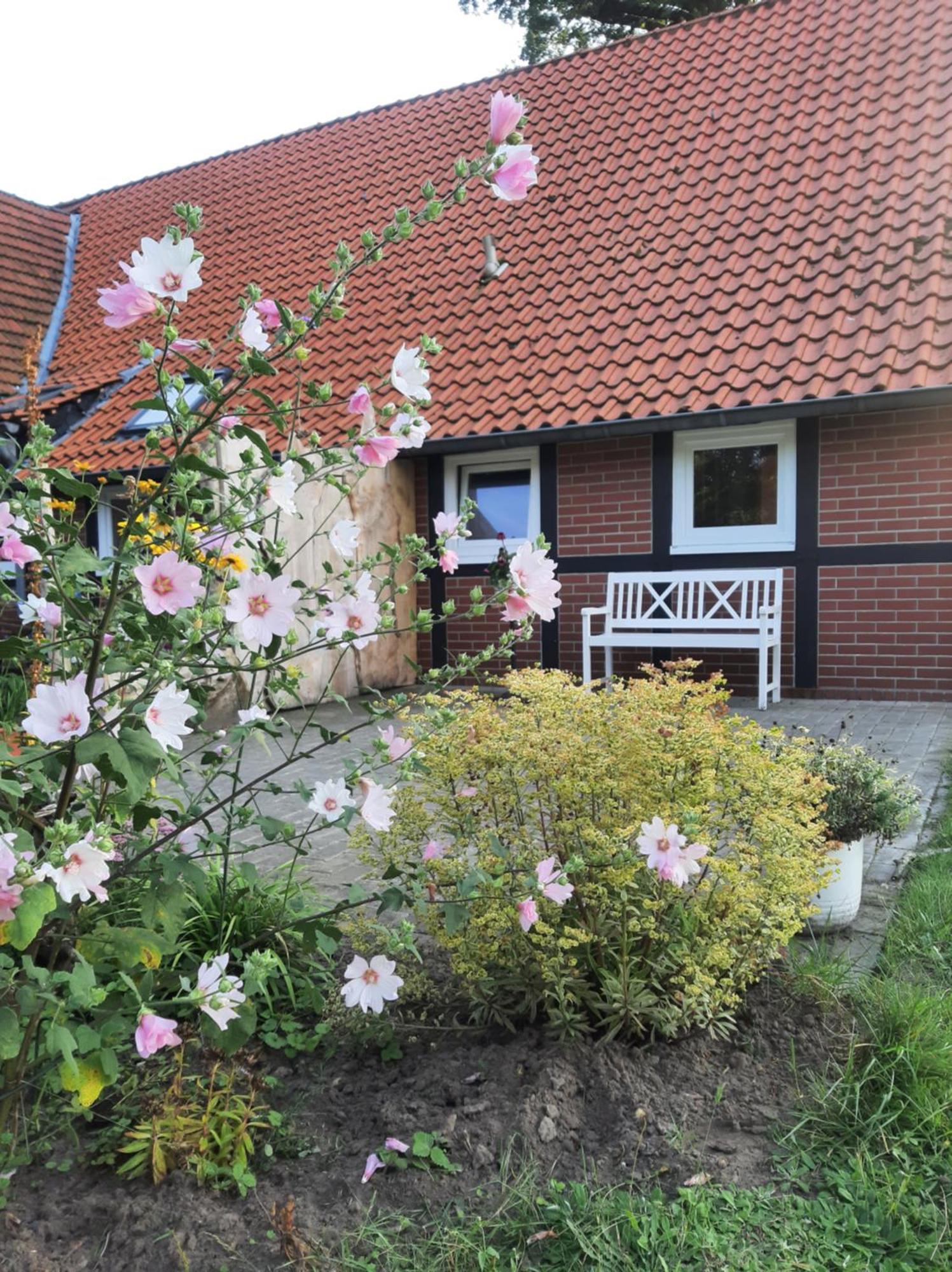 Ferienwohnung Auf Dem Land Ladbergen Exterior photo