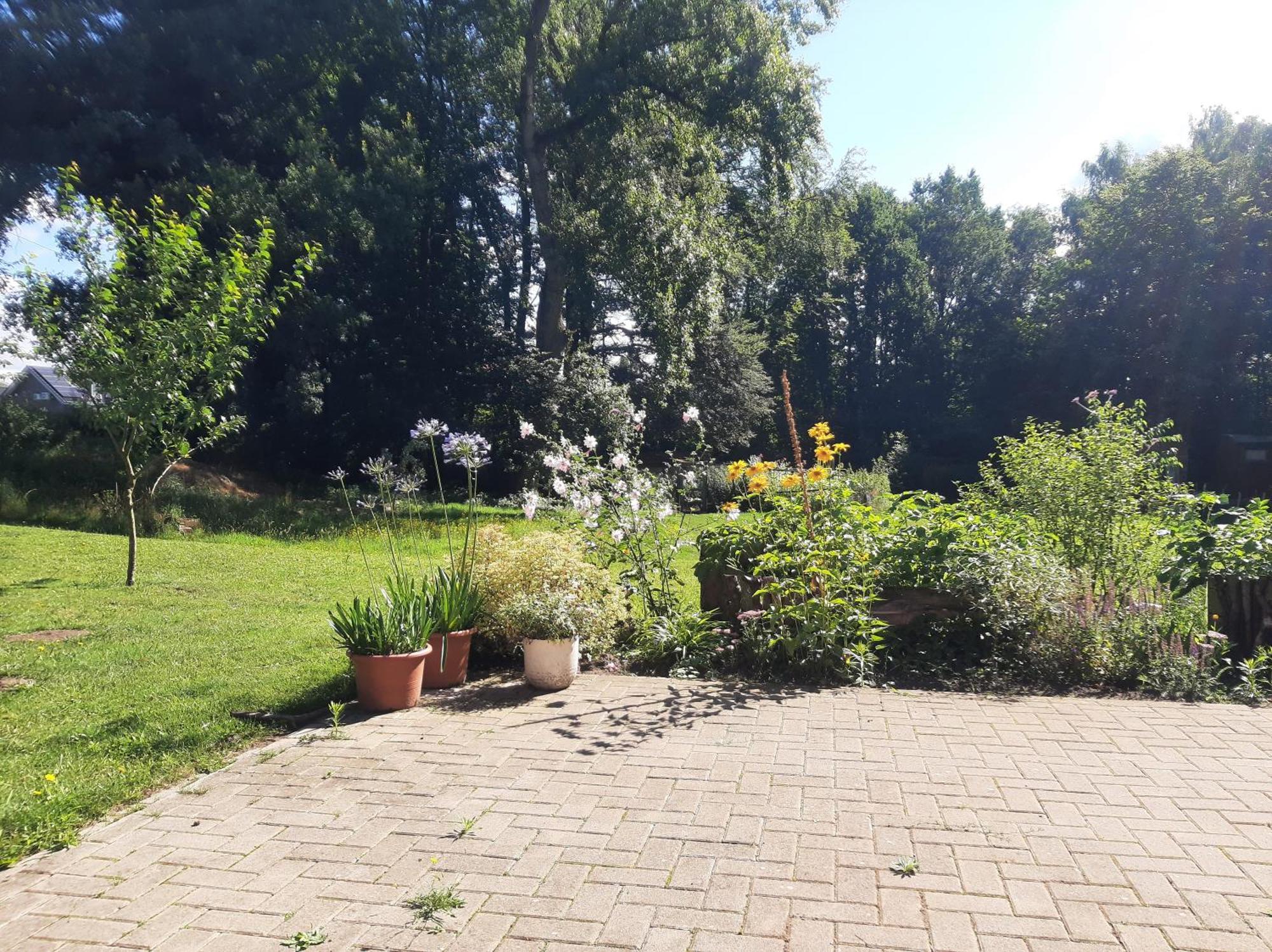 Ferienwohnung Auf Dem Land Ladbergen Exterior photo